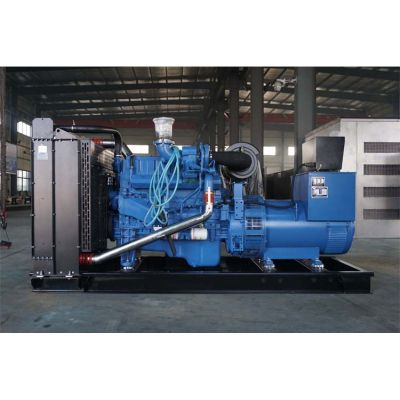 250kw玉柴柴油發(fā)電機(jī)組-玉柴6缸柴油機(jī)YC6MK420L-D20柴油發(fā)電機(jī)組,缸徑/行程：123/145mm,柴油發(fā)電機(jī)組水冷發(fā)動(dòng)機(jī)功率309KW,柴油發(fā)電機(jī)組配套馬拉松斯坦福發(fā)電機(jī)。廠價(jià)直銷歡迎選購(gòu)：13773399855。